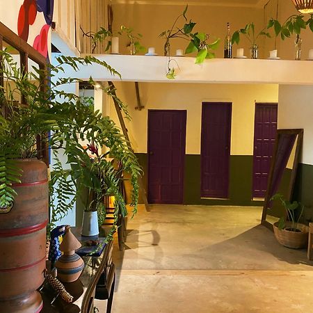 Teiu Hostel טרנקוסו מראה חיצוני תמונה