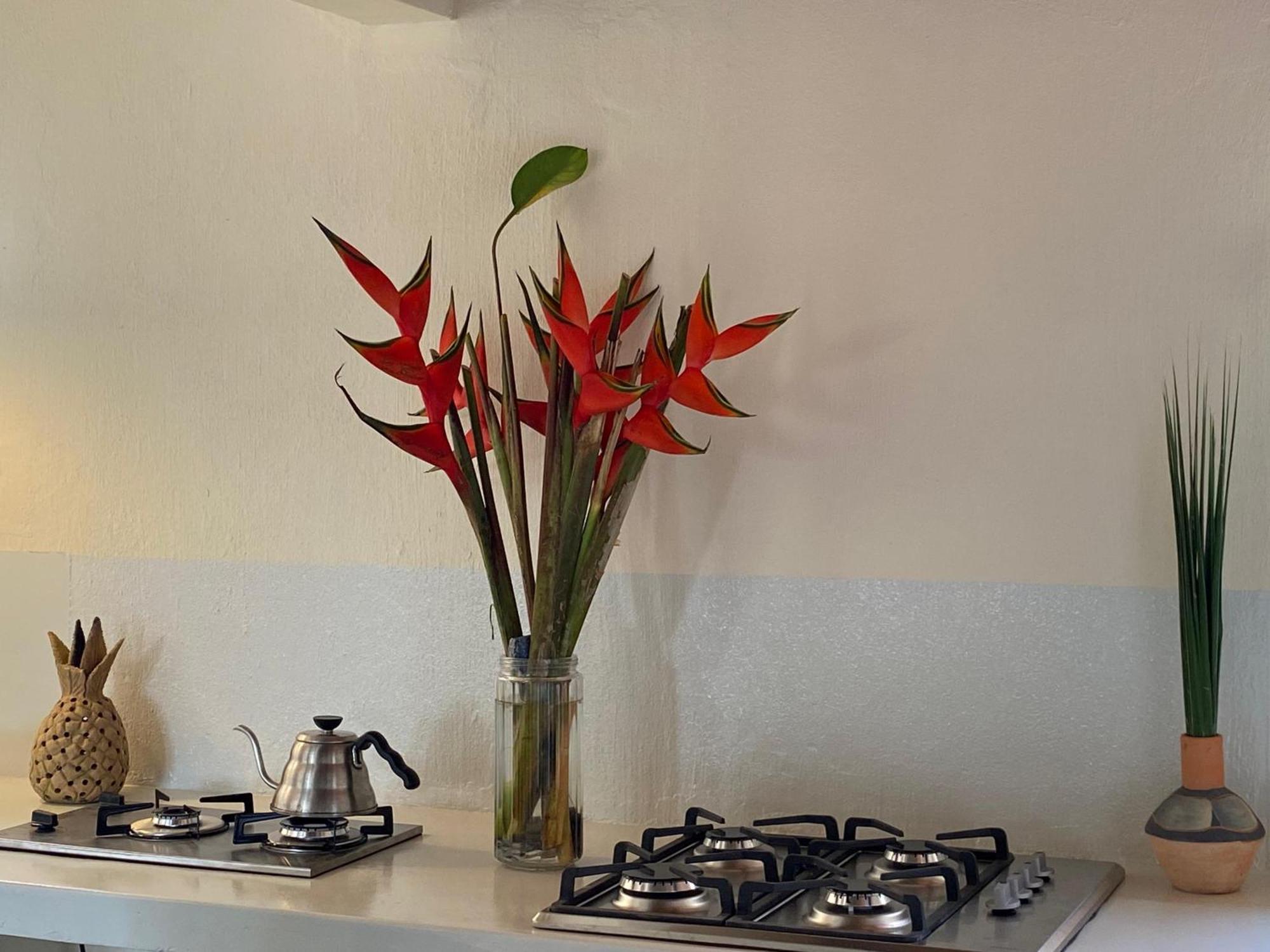 Teiu Hostel טרנקוסו מראה חיצוני תמונה