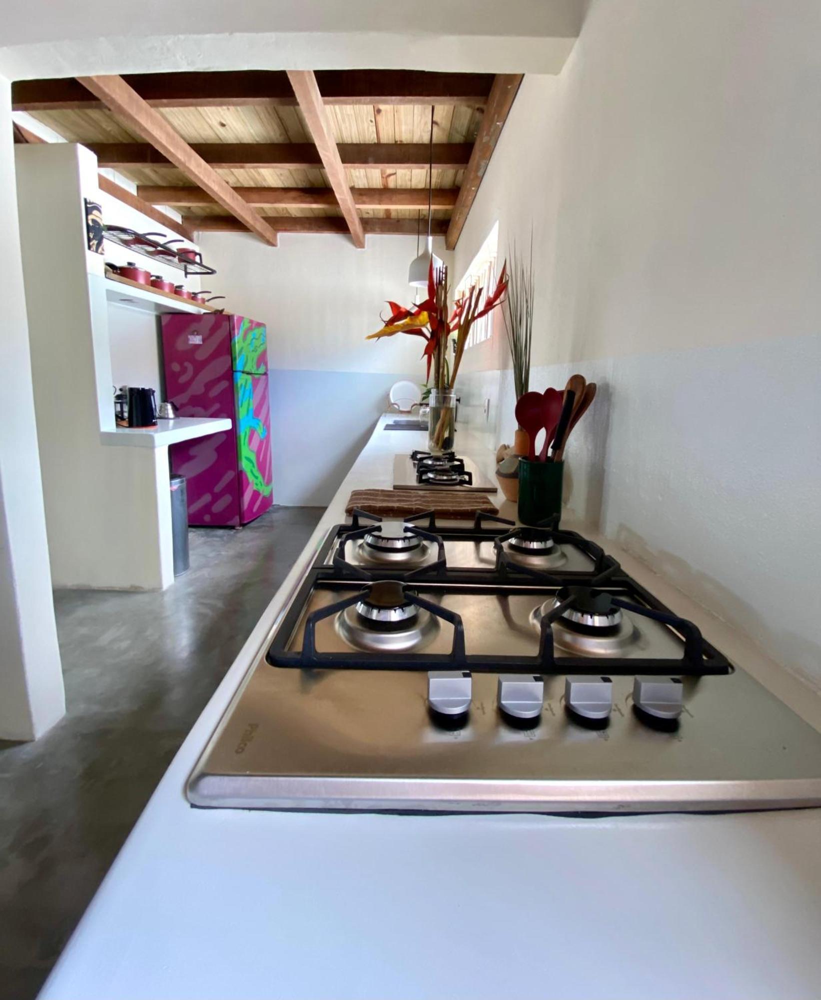Teiu Hostel טרנקוסו מראה חיצוני תמונה