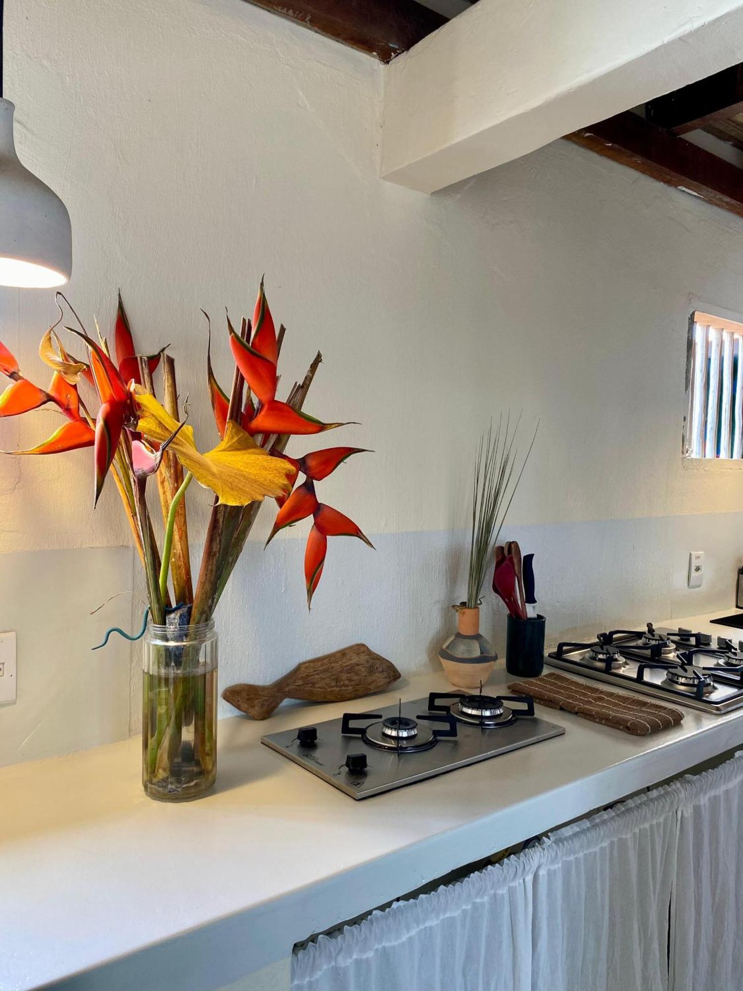 Teiu Hostel טרנקוסו מראה חיצוני תמונה