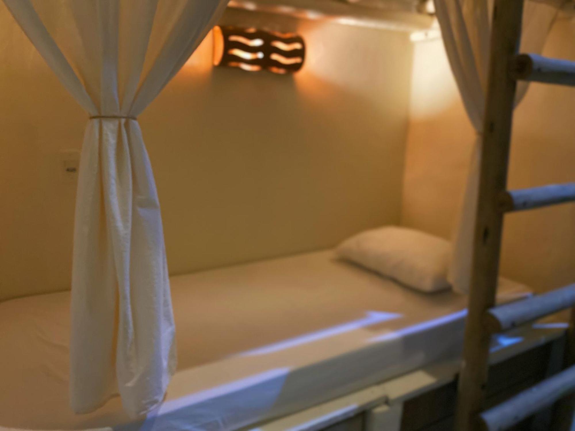 Teiu Hostel טרנקוסו מראה חיצוני תמונה