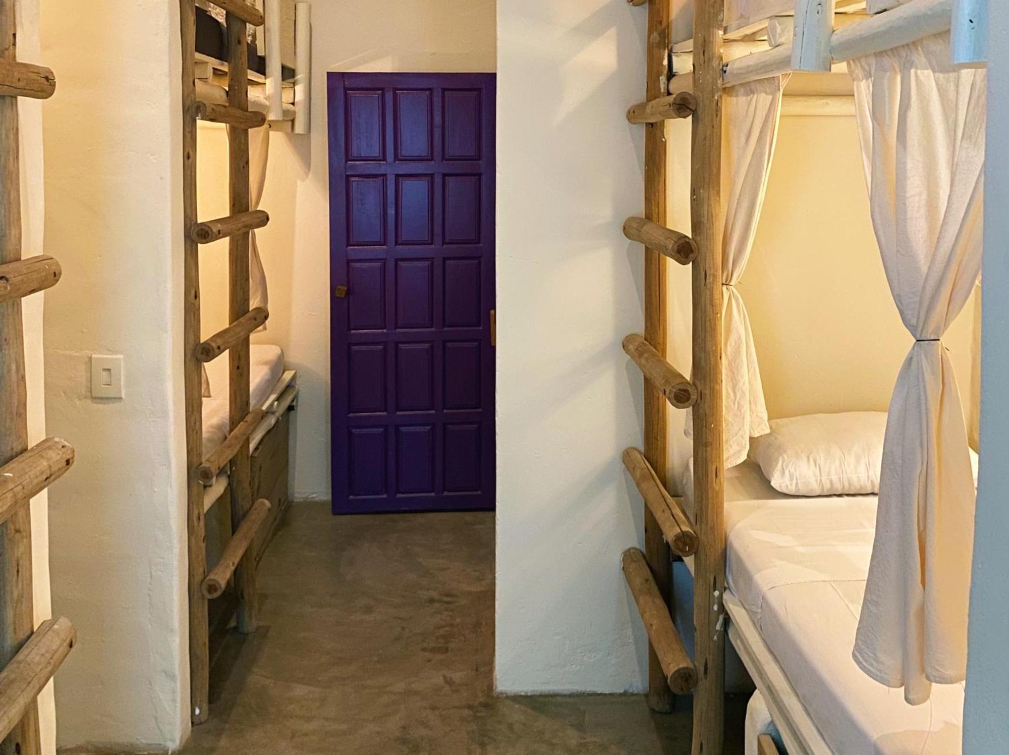 Teiu Hostel טרנקוסו מראה חיצוני תמונה